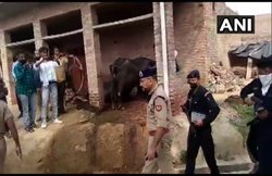 Kanpur Encounter News: खुलासा! एनकाउंटर से पहले विकास दुबे ने थाने के SO को पीटा और उनका मोबाइल भी छिना था