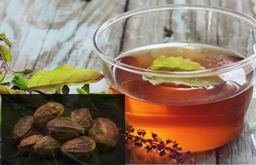 Coronavirus, Covid 19, Fifatrol, Tea extrac, Coronavirus, Covid 19, Fifatrol, Tea extrac,