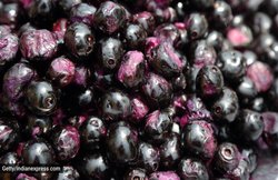 Diabetes के मरीजों के लिए रामबाण हो सकता है जामुन का बीज, जानिये कैसे करें यूज