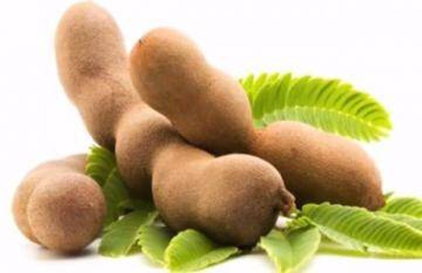 fatty liver, fatty liver home remedies, fatty liver symptoms, fatty liver precautions, fatty liver ka ilaj