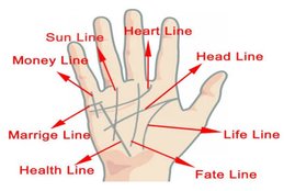 Palmistry, Palmistry hand line, hand line prediction, money line in hand, career line in hand, palm reading, hasth rekha,