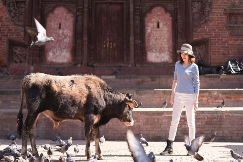 नेपाल से पहले यान्की पाकिस्तान में चीन की राजदूत थीं। यान्की को अंग्रेजी, चीनी और उर्दू भाषा की अच्छी खासी जानकारी है। यान्की अब नेपाली भाषा भी समझने लगी है। बताया जाता है कि वह भले आसानी से ये भाषा बोल ना पाएं लेकिन समझ जरूर लेती हैं।