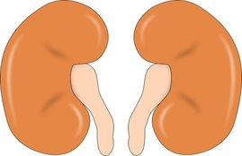 Kidney disease, Kidney Stone, Remedies for Kidney Stones, Kidney Stones symptoms