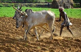 kisan credit card