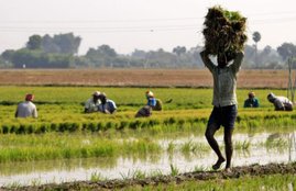 kisan credit card