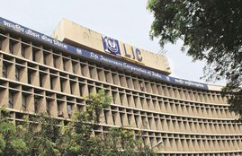 lic npa A