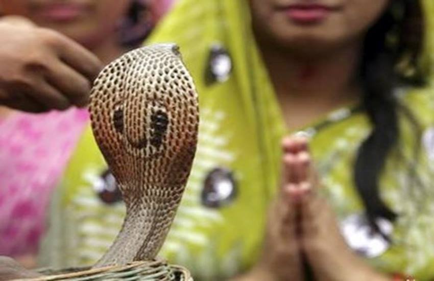 nag panchami, nag panchami 2020, nag panchami date in india, nag panchami date 2020, nag panchami date 2020 in india,