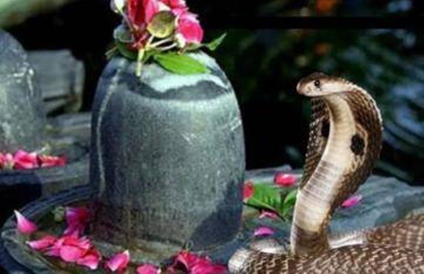 nag panchami, nag panchami 2020, sawan 2020, nag panchami kab hai, nag panchami date 2020, nag panchami ki katha, nag panchmi nag panchami, nag panchami 2020, sawan 2020, nag panchami kab hai, nag panchami date 2020, nag panchami ki katha, nag panchmi