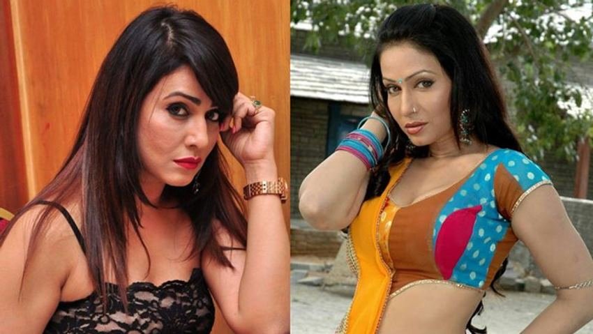 फिलहाल पाखी अब एक्टिंग से कोसों दूर हैं। वह फिल्म प्रोड्यूसर बन गई हैं। अब वह फिल्मों में पैसे लगाती हैं।