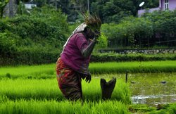 एक साल के लिए ही वैलिड होती है पीएम किसान सम्मान निधि योजना की लिस्ट, जानें- फिर कैसे जुड़ता है नाम