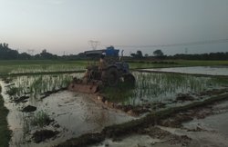 पीएम किसान सम्मान निधि योजना का अलग-अलग जगह की खेती पर मिलेगा लाभ? जानें- क्या है नियम