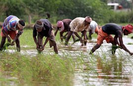 pm kisan samman nidhi