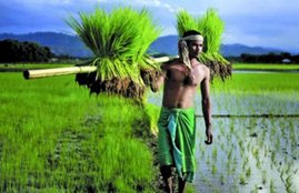 pm kisan yojana