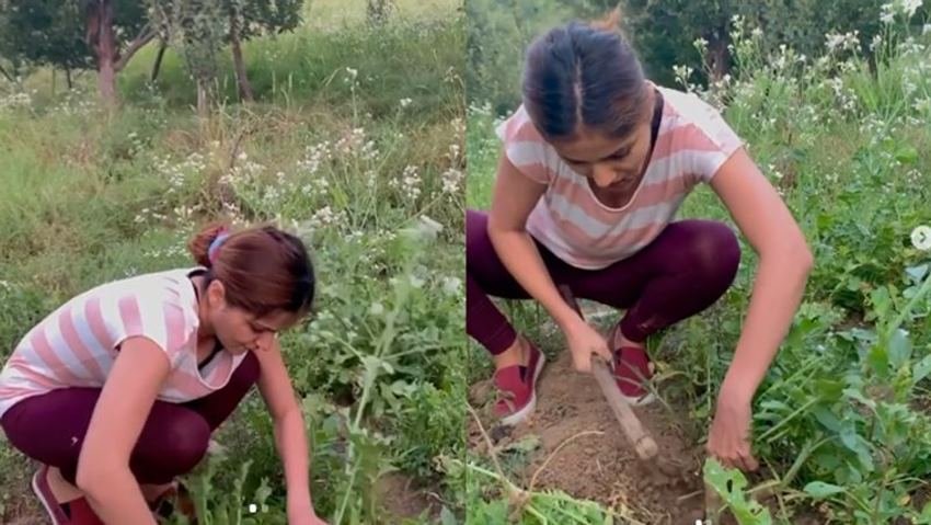दरअसल रुबीना ने एक वीडियो शेयर किया जसमें वह खेत में काम करती दिख रही हैं।