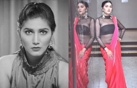 Sapna Choudhary, Arshi Khan And Sapna Choudhary Fight, Haryanvi Dancer Sapna Choudhary,
