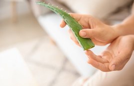 Skin Care, Skin Care tips, morning skincare routine, aloe vera for skin, skin care remedies