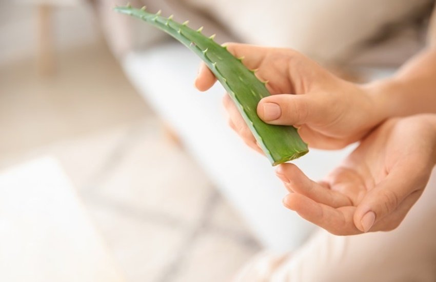 Skin Care, Skin Care tips, morning skincare routine, aloe vera for skin, skin care remedies