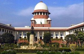 Petitioner lawyer