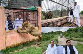 CM Yogi, Akhilesh Yadav, BJP, Ram Mandir