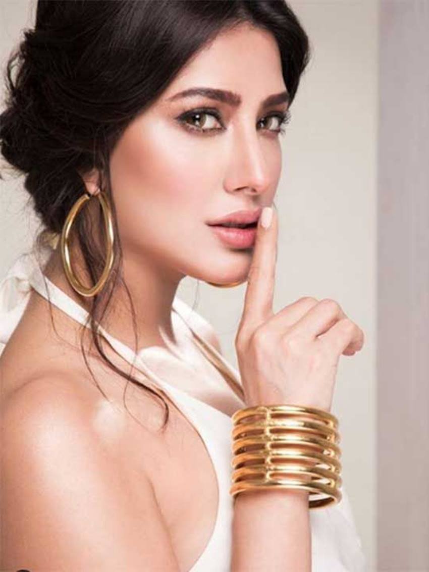 मेहविश के पाकिस्तान के कई प्रभावशाली राजनेताओं औऱ उद्योगपतियों के साथ भी बेहतर रिलेशन है।