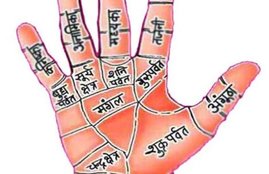 palmistry, sarkari naukri, government job, job prediction, astrology, Palmistry government job