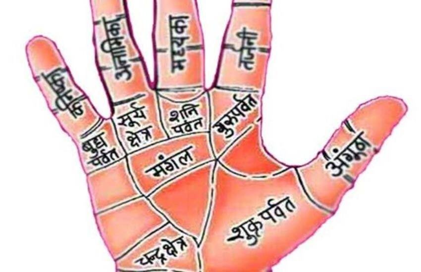 palmistry, sarkari naukri, government job, job prediction, astrology, Palmistry government job