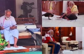 Narendra Modi with Peacock, PM Modi with Peacock, PM Modi feeding Peacock