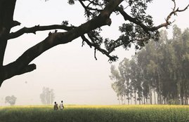 pakistan, migrants, hindu migrants