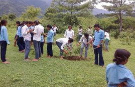 Afforestation, PPP Model, Environment