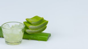 White Hair Problem, aloevera oil for white hair, white hair treatment