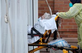 coronavirus update