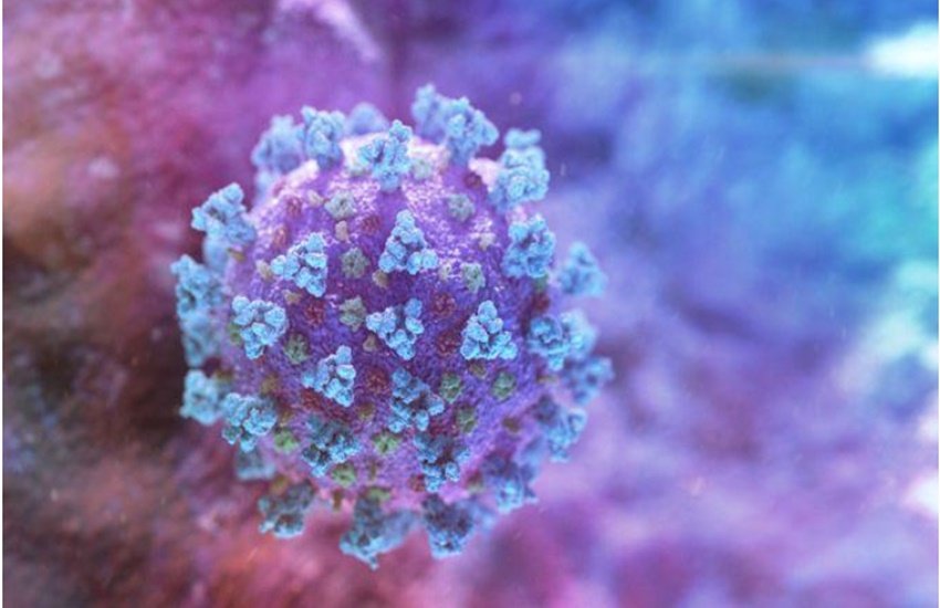 coronavirus india news