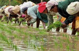 economic growth
