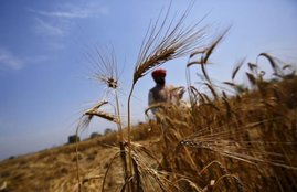 Delhi farmers