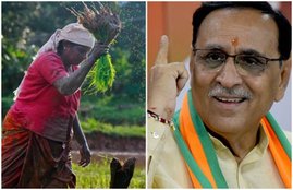 fasal bima yojana