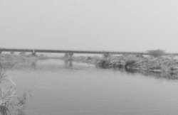 एक-एक कर तीन बच्चों को नदी में फेंक पिता ने लगा दी छलांग, भारी बारिश से रुका तलाशी अभियान; पारिवारिक कलह की आशंका