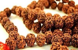 तनाव करना हो दूर या शिक्षा में चाहते हैं बेहतर प्रदर्शन, गणेश रुद्राक्ष धारण करने से मिल सकती है मदद