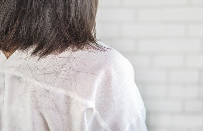 hair fall food, hair fall food to eat, hair fall food in hindi