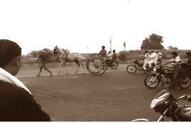 greater noida, horse race, uttar pradesh