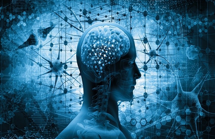 परंपरा पर मनुष्य के मस्तिष्क और स्वभाव का प्रभाव पड़ता है।