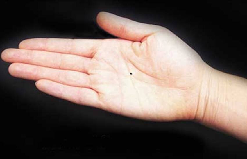 Til ka matlab, Moles meaning on body, Samudrik shastra, meaning of moles on hand, meaning of mole on right hand, meaning of mole on left hand