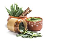 डायबिटीज के मरीजों के लिए रामबाण है नीम, जानिये कैसे करें डाइट में शामिल…