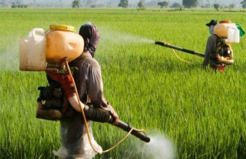 pesticides
