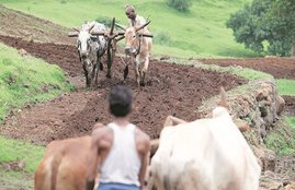 pm kisan yojana