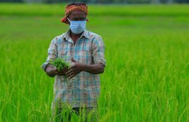 pm kisan yojana a