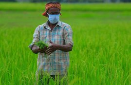 pm kisan yojana