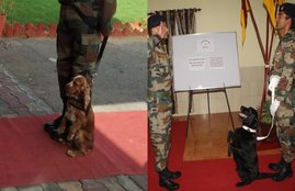 Army Sniffer Dogs, Mann ki Baat