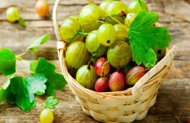 white hair problem, white hair home remedies, safed baal, white hair treatment, Amla Powder