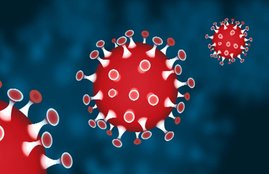 Corona Virus, Covid-19