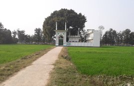 IICF